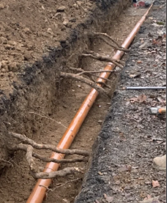 A trench dug by hand beside a driveway, with an orange utility pipe laid beneath beech roots that cross the trench