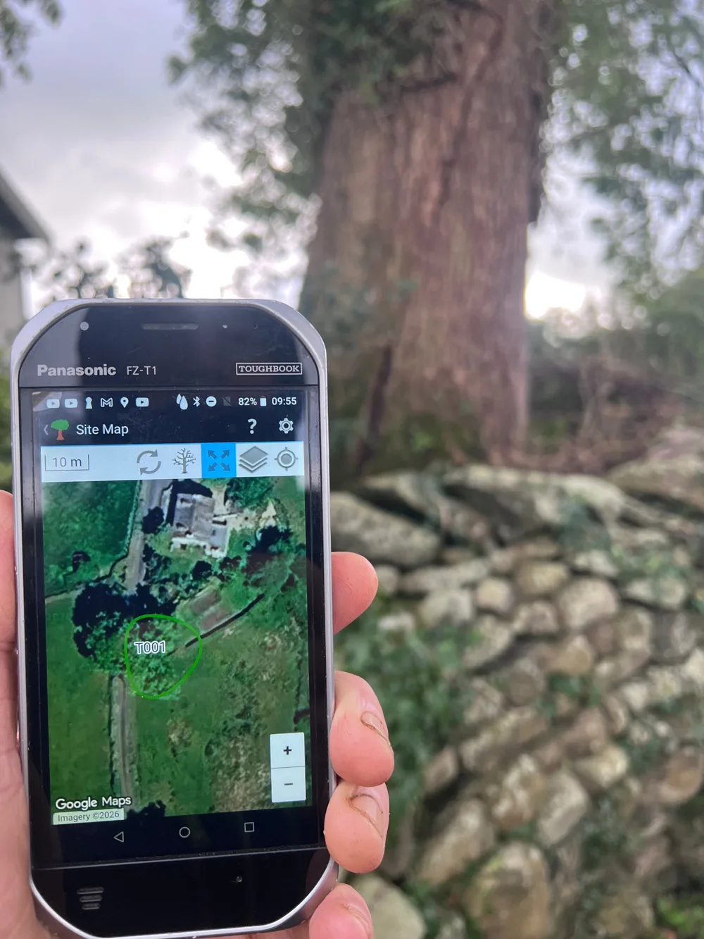 A hand holding a rugged tablet showing a satellite site map with the tree outlined and labelled T001, in front of the same tree