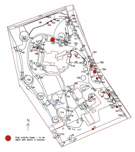 Tree survey plan